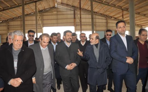استاندار همدان همزمان با ششمین روز از دهه فجر با حضور در کبودرآهنگ از واحد راکد گاوداری صنعتی احیایی بازدید به عمل آورد. 