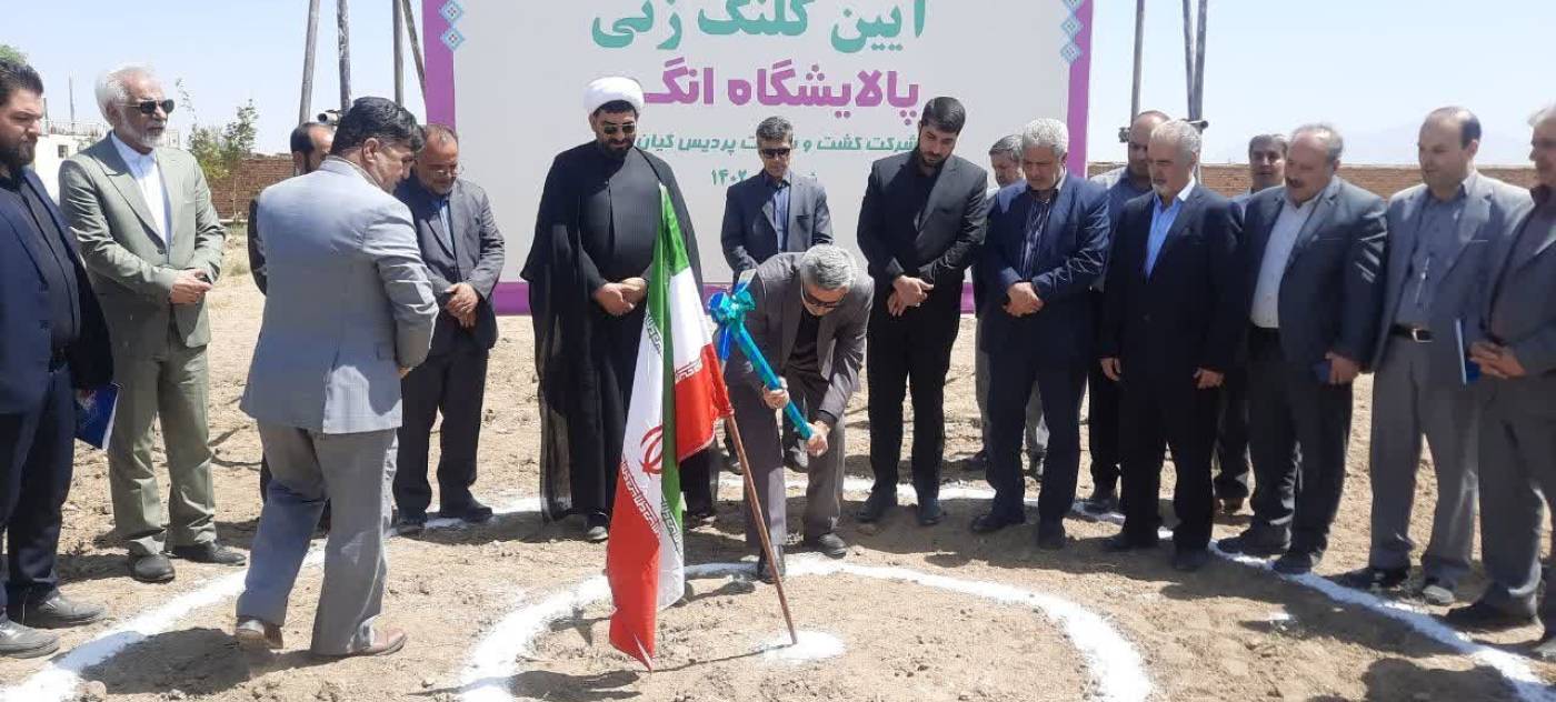 عملیات اجرایی پالایشگاه انگور ملایر با حضور استاندار همدان آغاز شد.