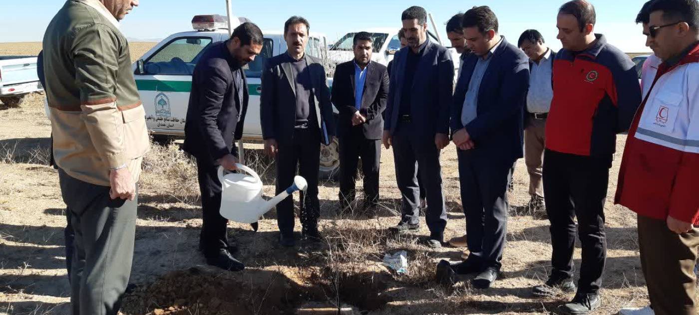 ✅ایران سرسبز_ ایران قوی   ✅طرح مردمی کاشت یک میلیارد درخت.