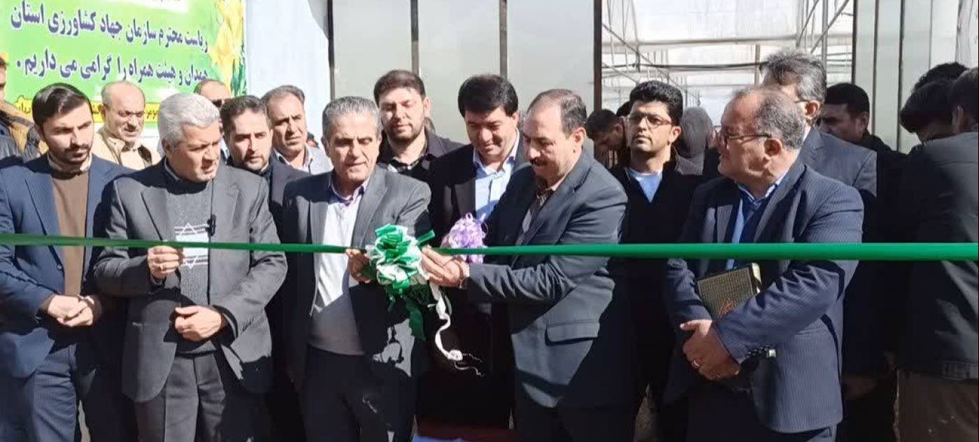 آئین افتتاح واحد گلخانه تولید سبزی و سیفی روستا آب باریک به مناسبت دهه فجر