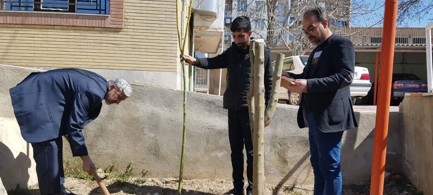 کاشت درخت توسط فرماندار در محوطه فرمانداری